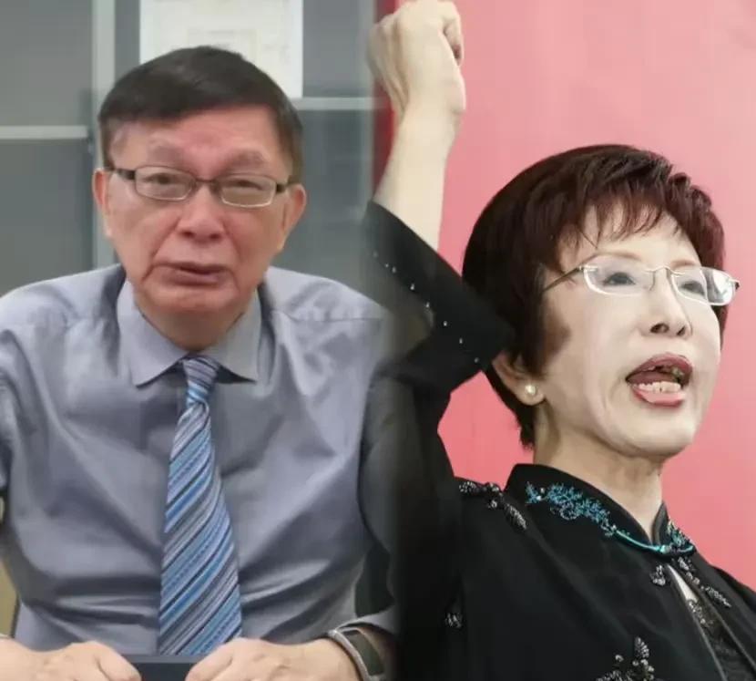 “来了就不要怕，怕了就不要来”除了台湾大学教授苑举正，中国国民党前主席洪秀柱