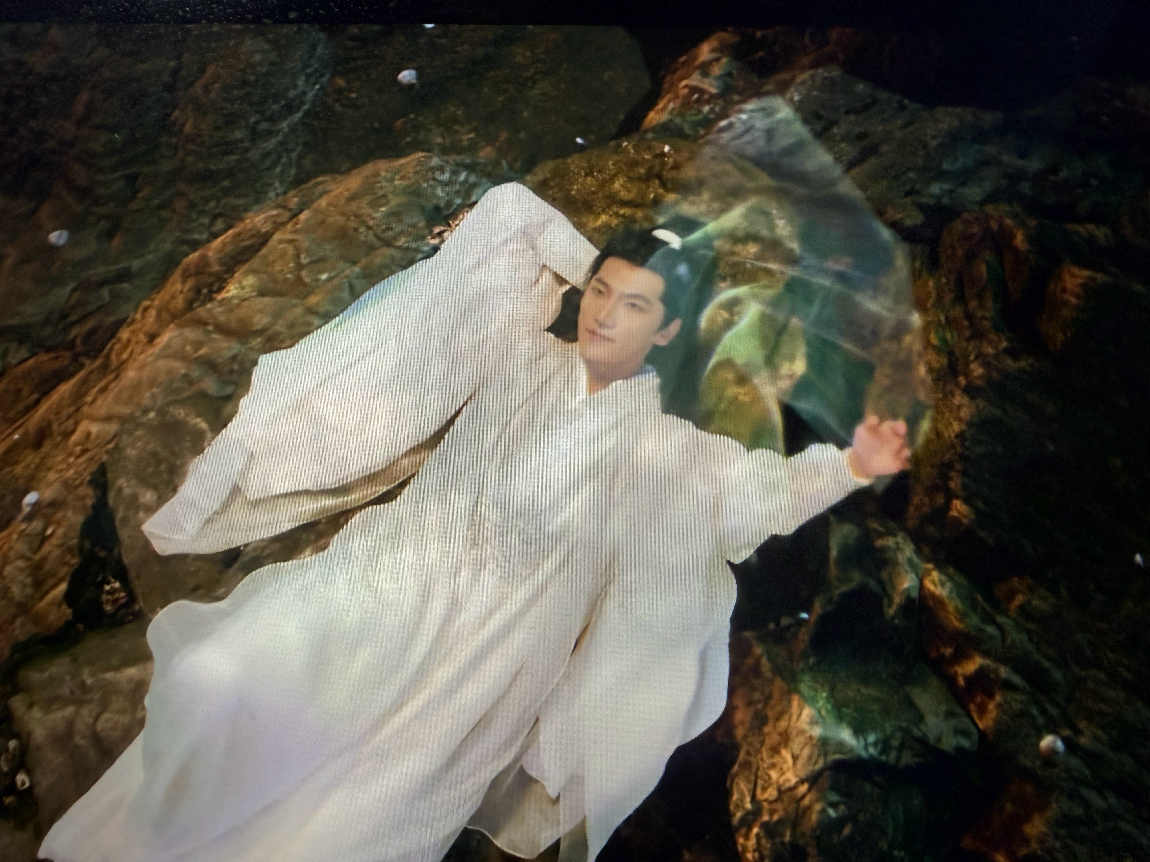 woc杨洋这张脸真的是老天爷赏饭吃吧这个镜头我之前刷短视频刷到好多次了今天在正