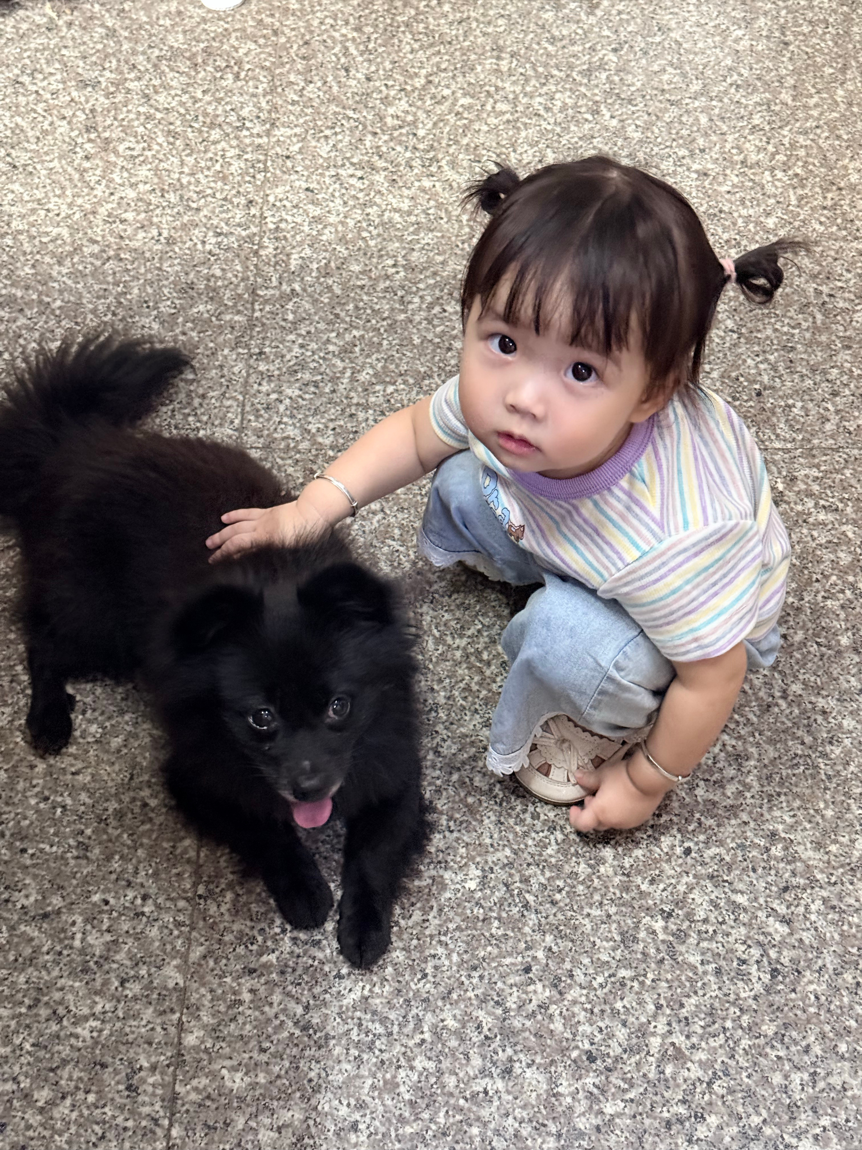 偷小孩和遛小狗的日子
