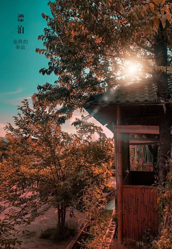 佛家一言惊醒梦中人：‘你以为吃了亏是傻，其实是福。不计较的人，看似输了眼前，实则