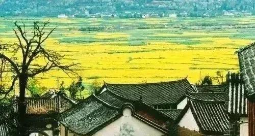#分享城市新鲜事#外甥媳妇送一双儿女回大理老家度暑假，返回