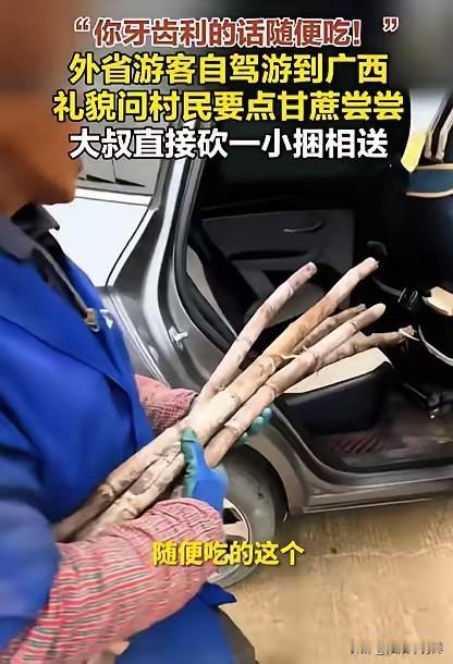 格局打开了！男子自驾游去广西玩，途中看到村民在砍甘蔗，就礼貌询问，想要点甘蔗尝尝