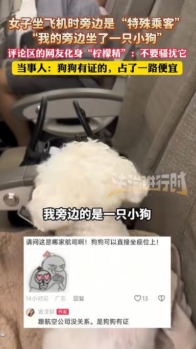 “说出来都没人信！”黑龙江，一女子坐飞机返程，刚上飞机找到座位，空姐就走过来对她