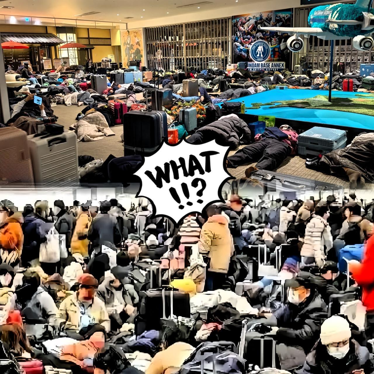 “派包机！必须派包机来接我们！”北海道机场里的这番呼喊，让不少网友唏嘘不已。