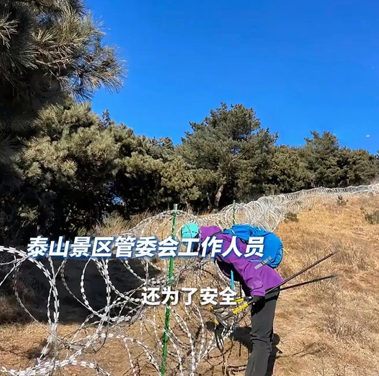 【泰山百公里刀片刺绳引争议，周兆成：防护手段要合法适度！】 总长135公里刀