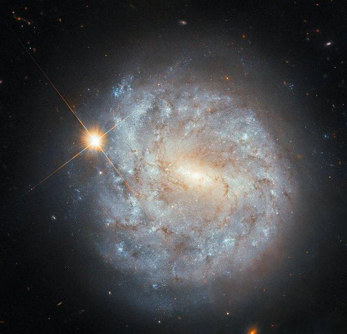 在室女座中，一个名为NGC4900的闪耀螺旋星系似乎与一颗明亮的近距离恒星重叠