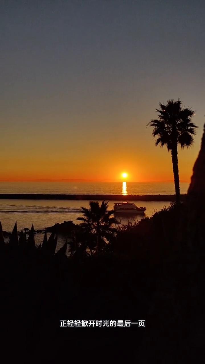 岁末晨语。2025年最后一天的晨光正轻轻掀开时光的最后一页。早安！当这缕光穿过