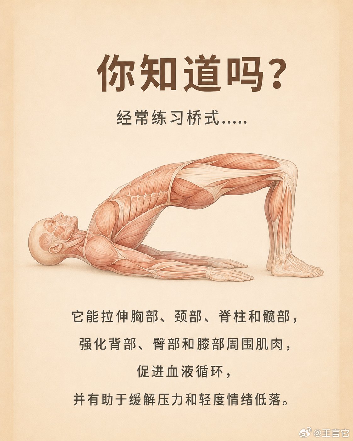 📌五个抗衰老练习抗衰老拉伸