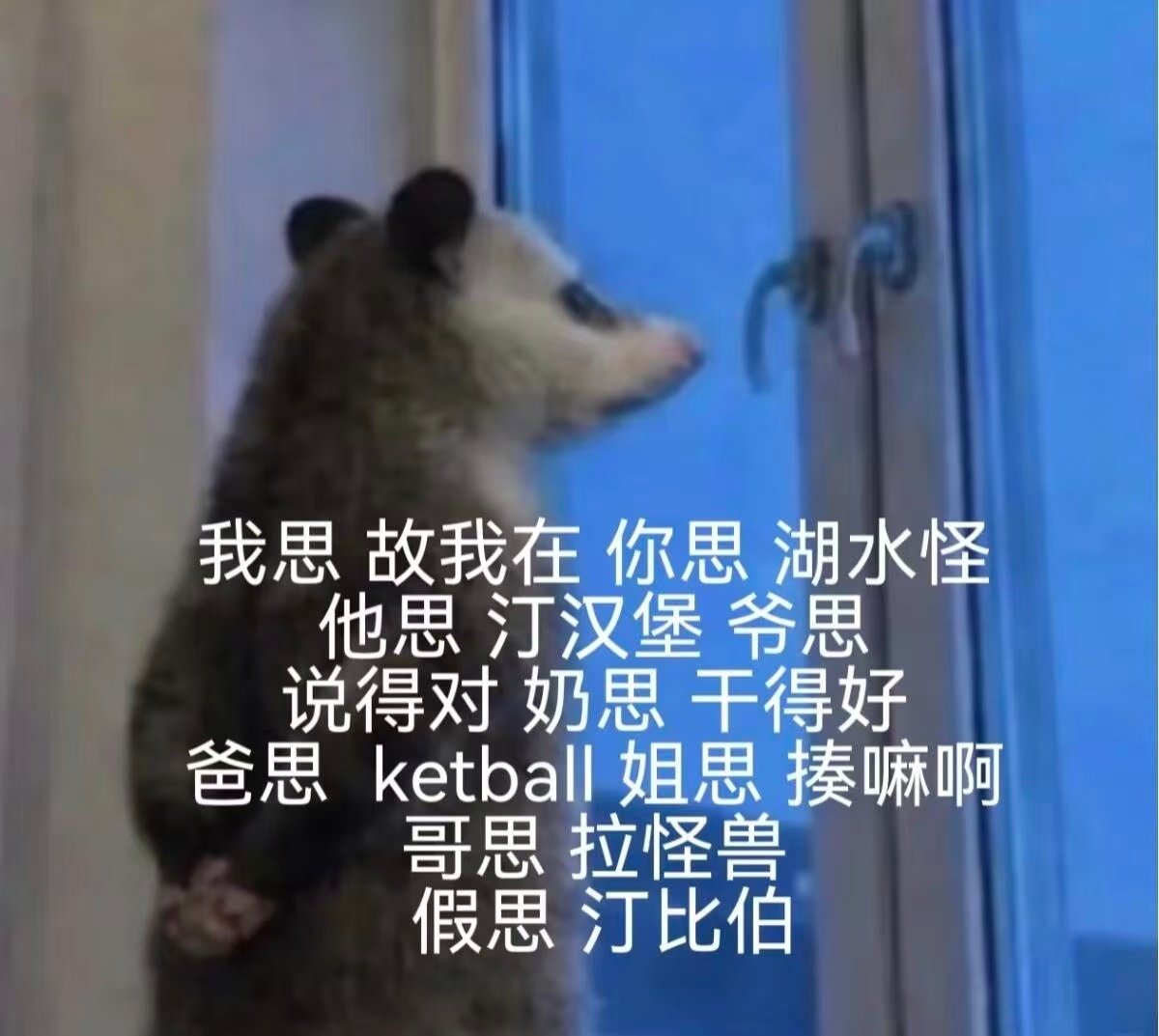 #怪图分享#20260916​