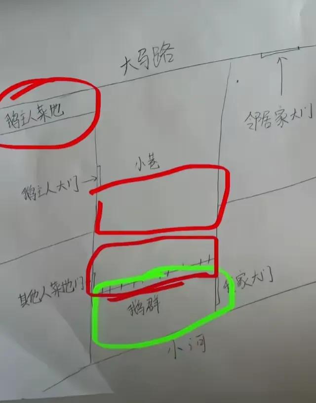 安徽，女子父母都不在了，她回家上坟，发现大门口被邻居用铁丝网围住，养了一大群鹅，