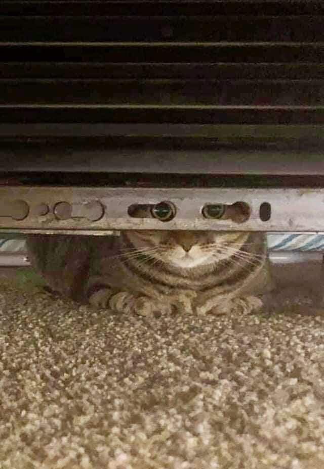 总感觉有东西在监视我​​​