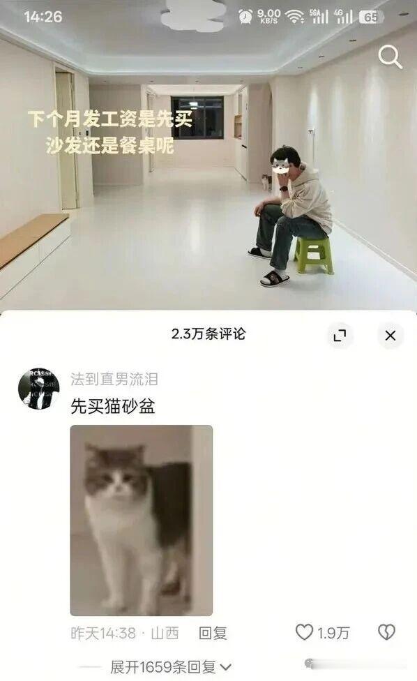 买个床垫吧，晚上你睡觉，猫白天拉屎。​​​