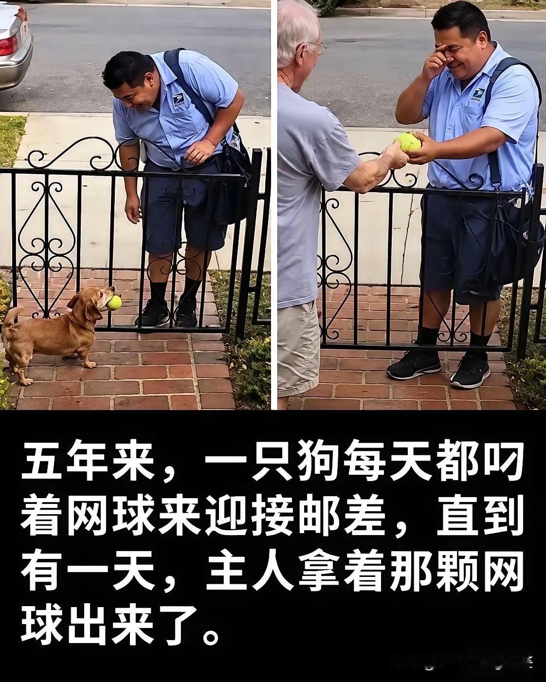 不怪大叔流泪，换谁都一样！[哭哭]
