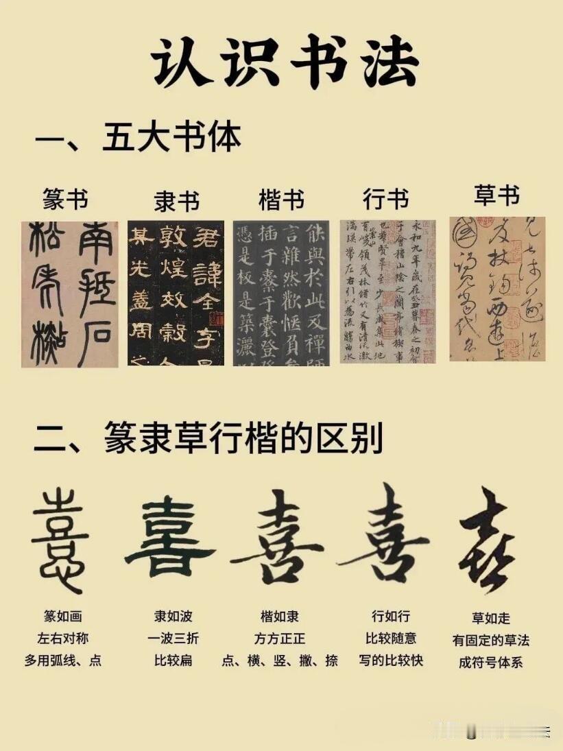 零基础学书法的入门干货，一张图看懂五大书体。篆书如画，隶书似波，楷书方正，行书流