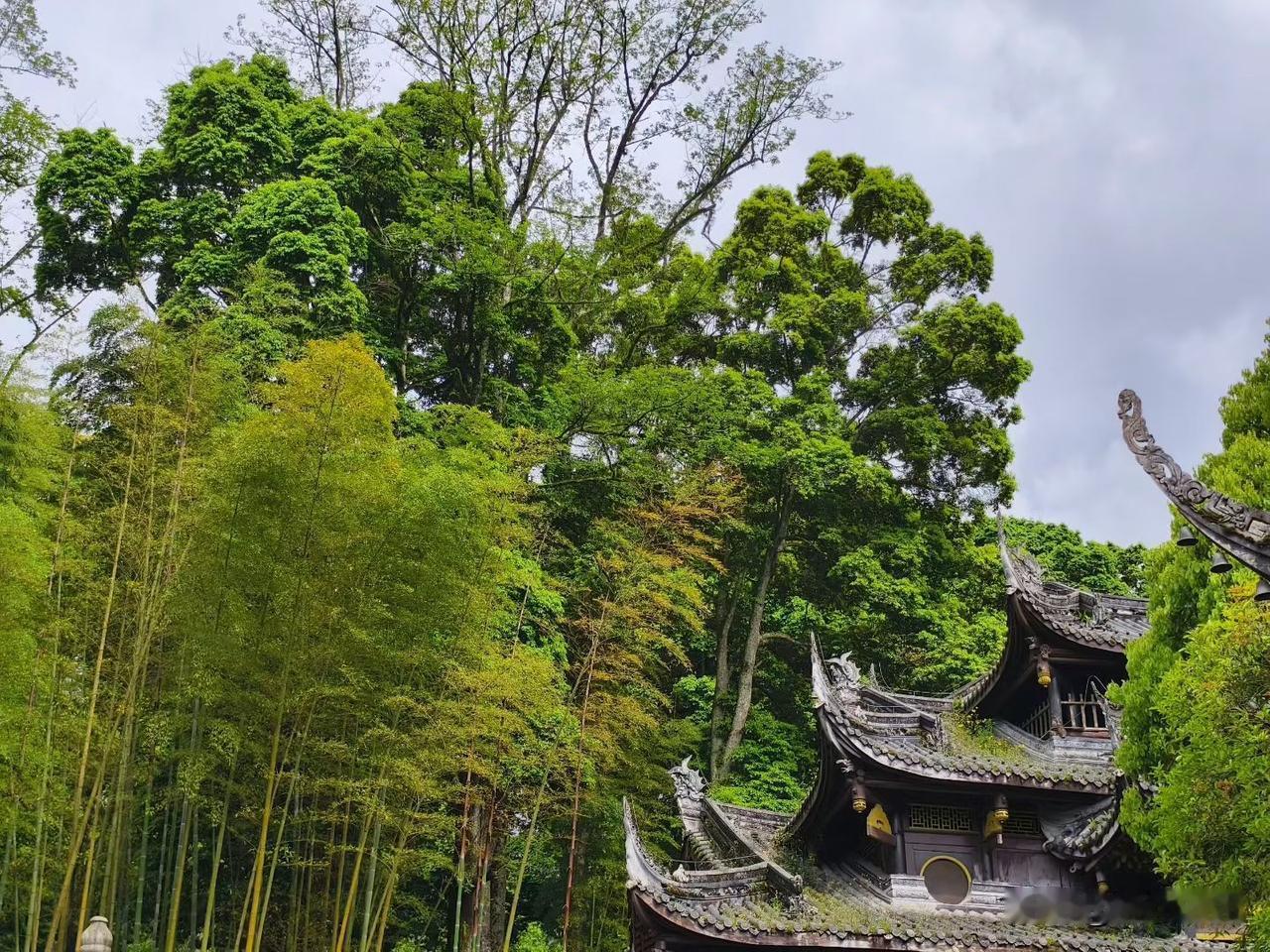 我去王花花家做客，带了两瓶红酒和一盆花，王花花说大爷太客气了，但她还是挺高兴，喝