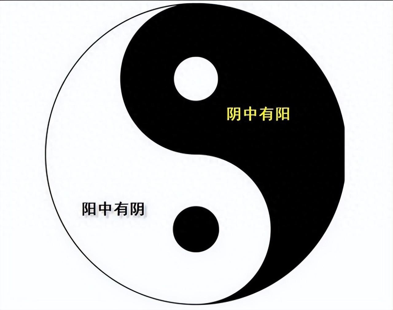 补肾抛开地黄丸、肾气丸！一味平调阴阳两虚，专补脾肾不足我是陈大夫～温馨提醒：内