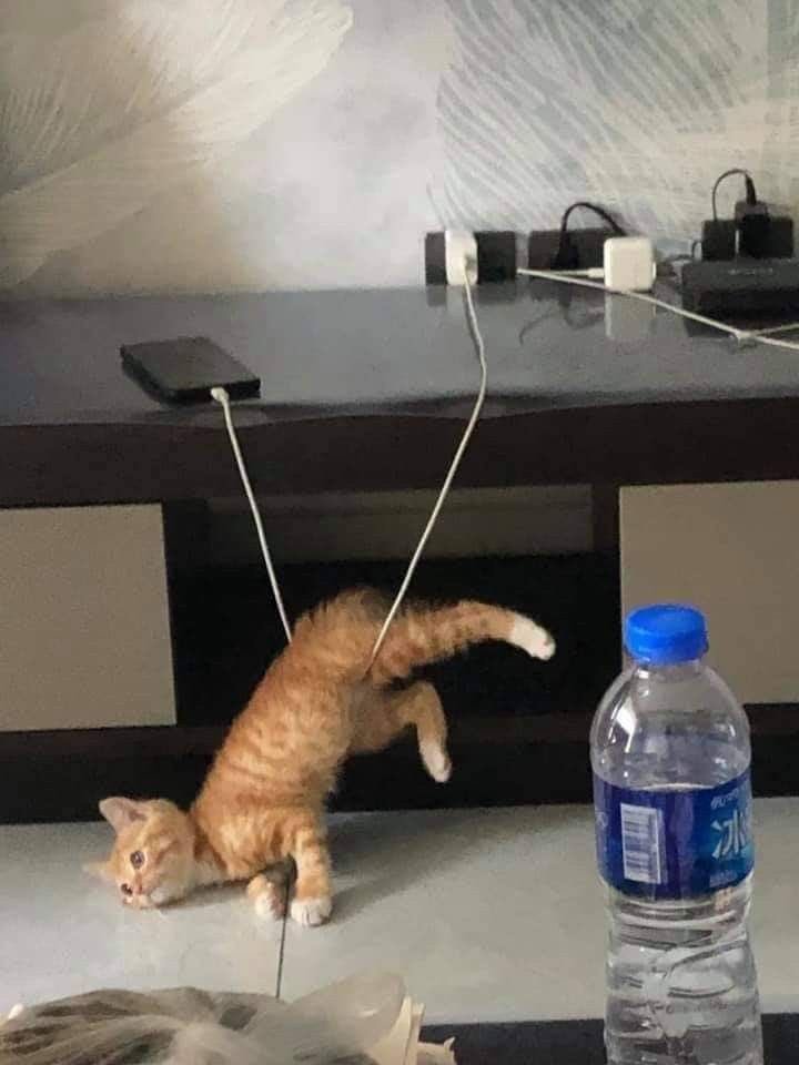 −​​​