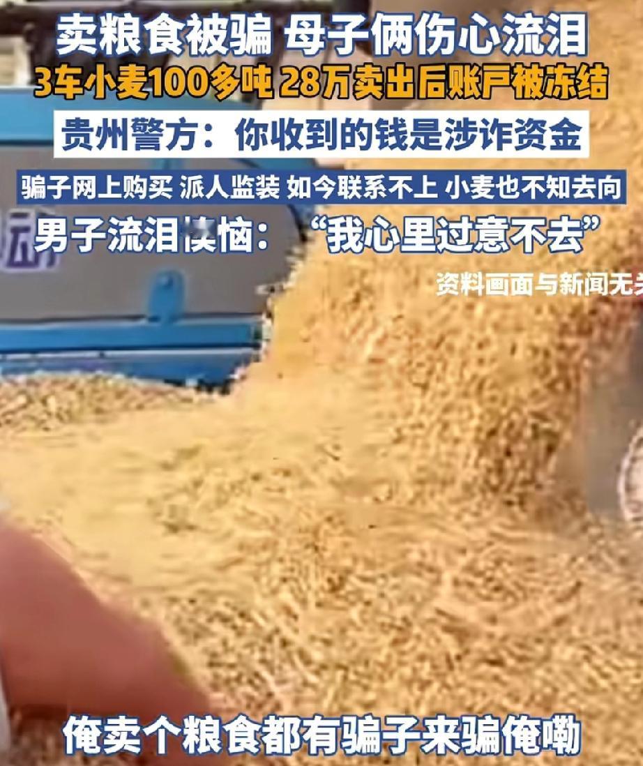 难道以后只能相信现金交易了吗?电诈太猖狂,什么钱都骗,连农民辛辛苦苦种出的粮食都