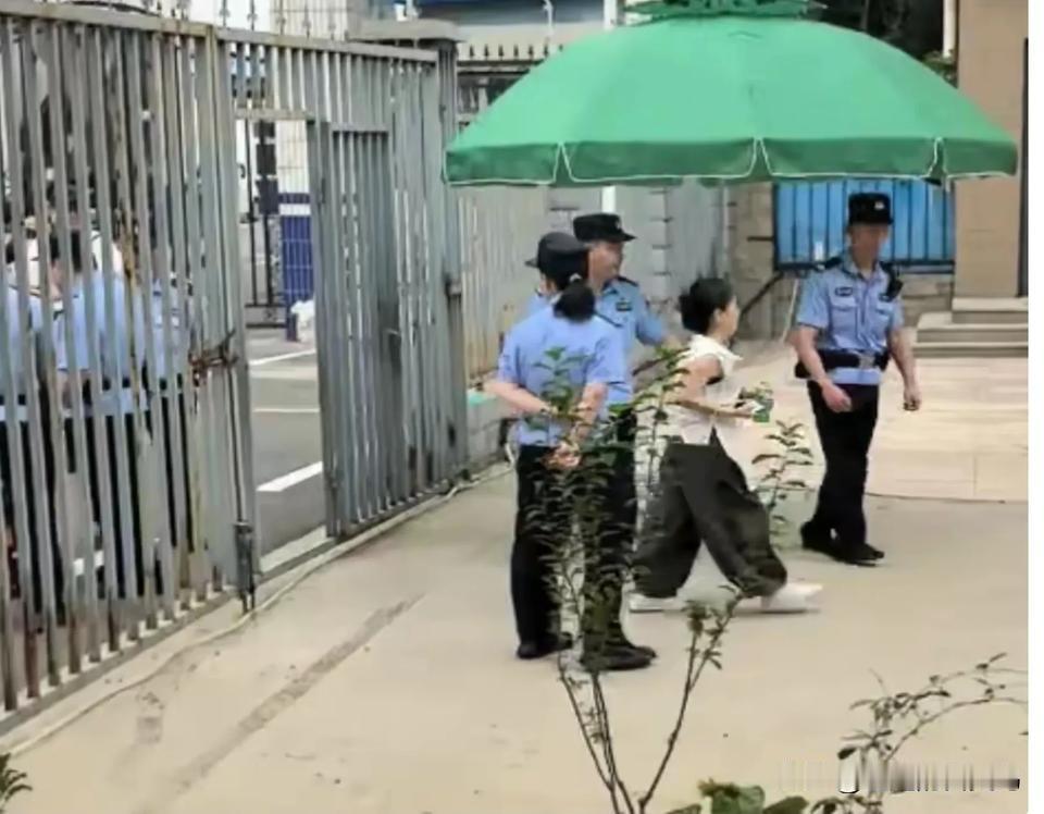 今天熊磊到场，老杜和宽缺席。老杜之前在网上那可是相当“豪横”啊，天天约谈许敏，还