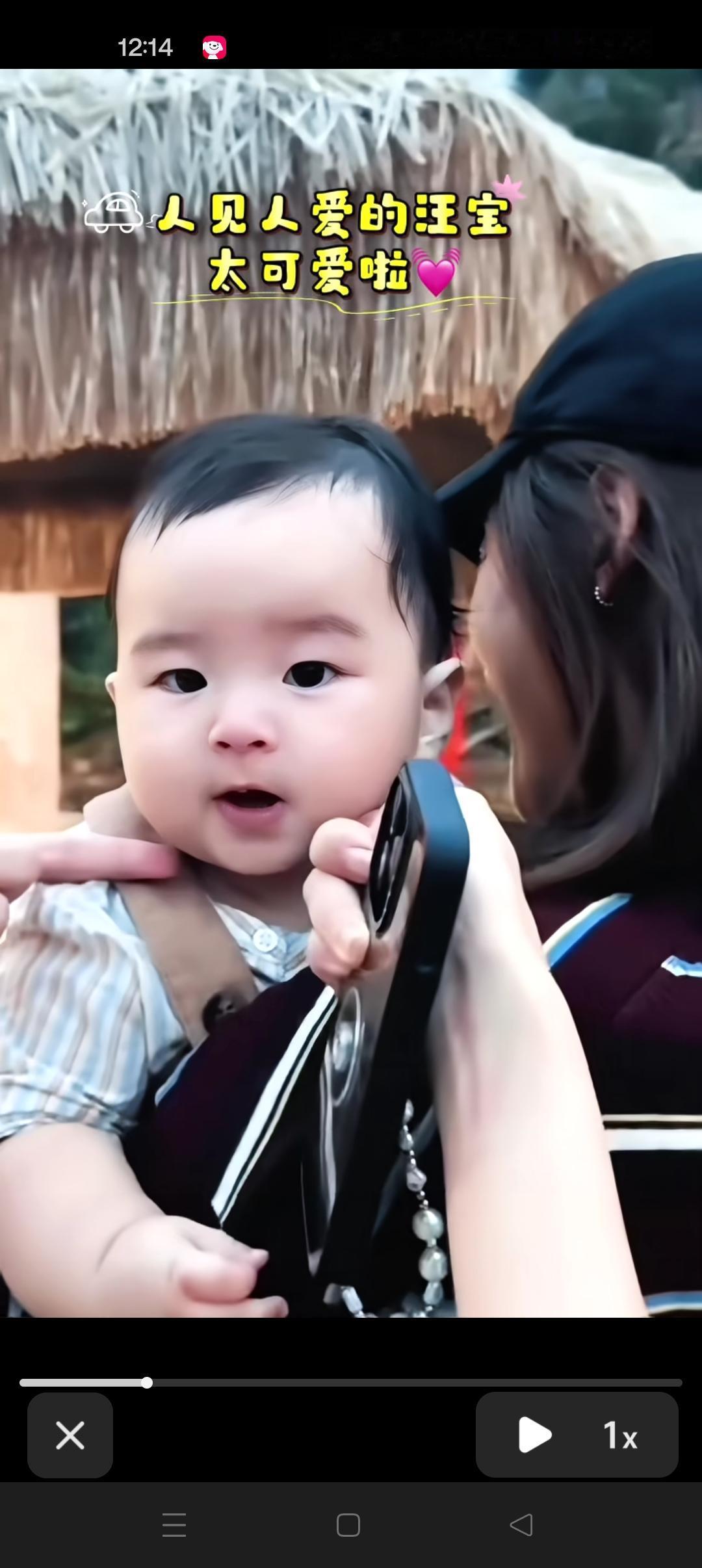 人见人爱的小汪宝来了😍小号汪小菲，太像了[呲牙笑][比心][比心]