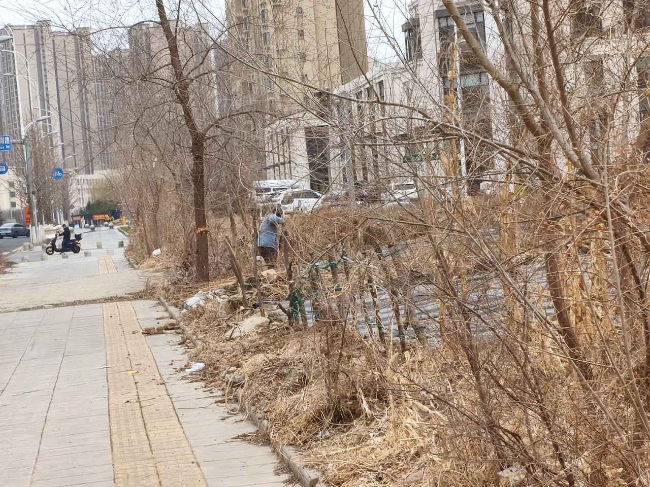 爱劳动爱种庄稼深深埋在了沈阳市民心里面！今天我去沈阳南站，路过发现有人在沈阳南