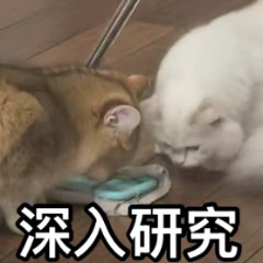 【科学家绘制猫癌症基因图谱！】近期，科学家对5个国家近500只宠物猫的肿瘤进行了