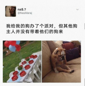 狗狗的表情具象化了