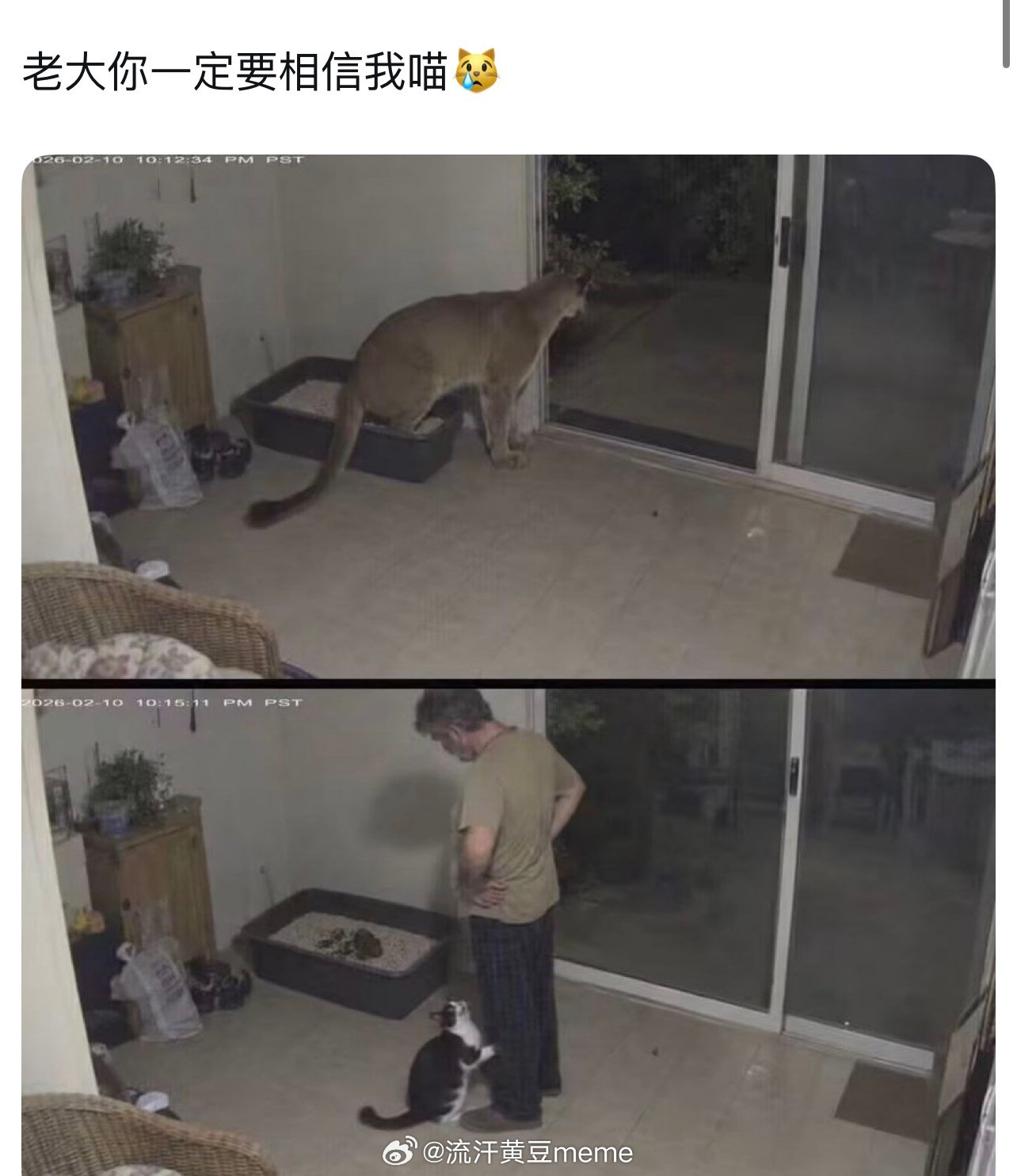 动物凶猛·​​​