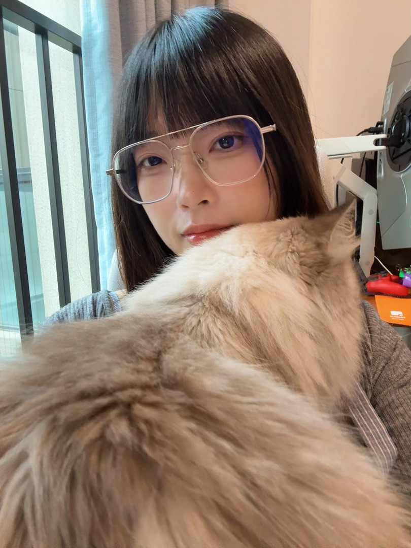 猫猫卡车撞人事件