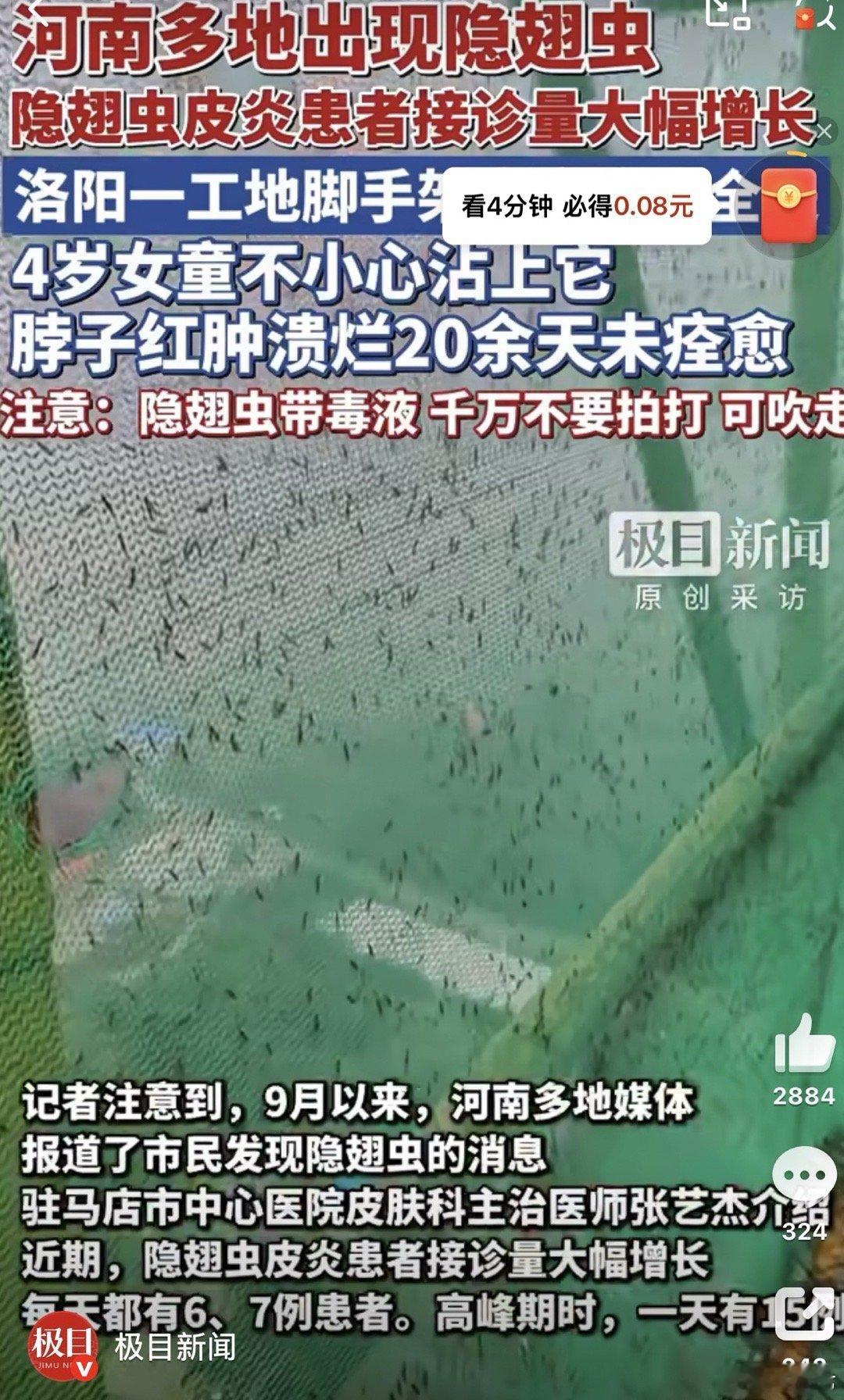 河南多地现行走的硫酸隐翅虫警惕！河南洛阳、南阳等地近期隐翅虫频发，洛阳一工地脚
