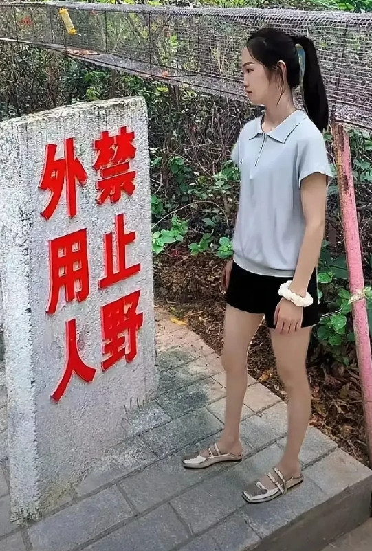 就算语文老师来了，也理不清这几个字吧？