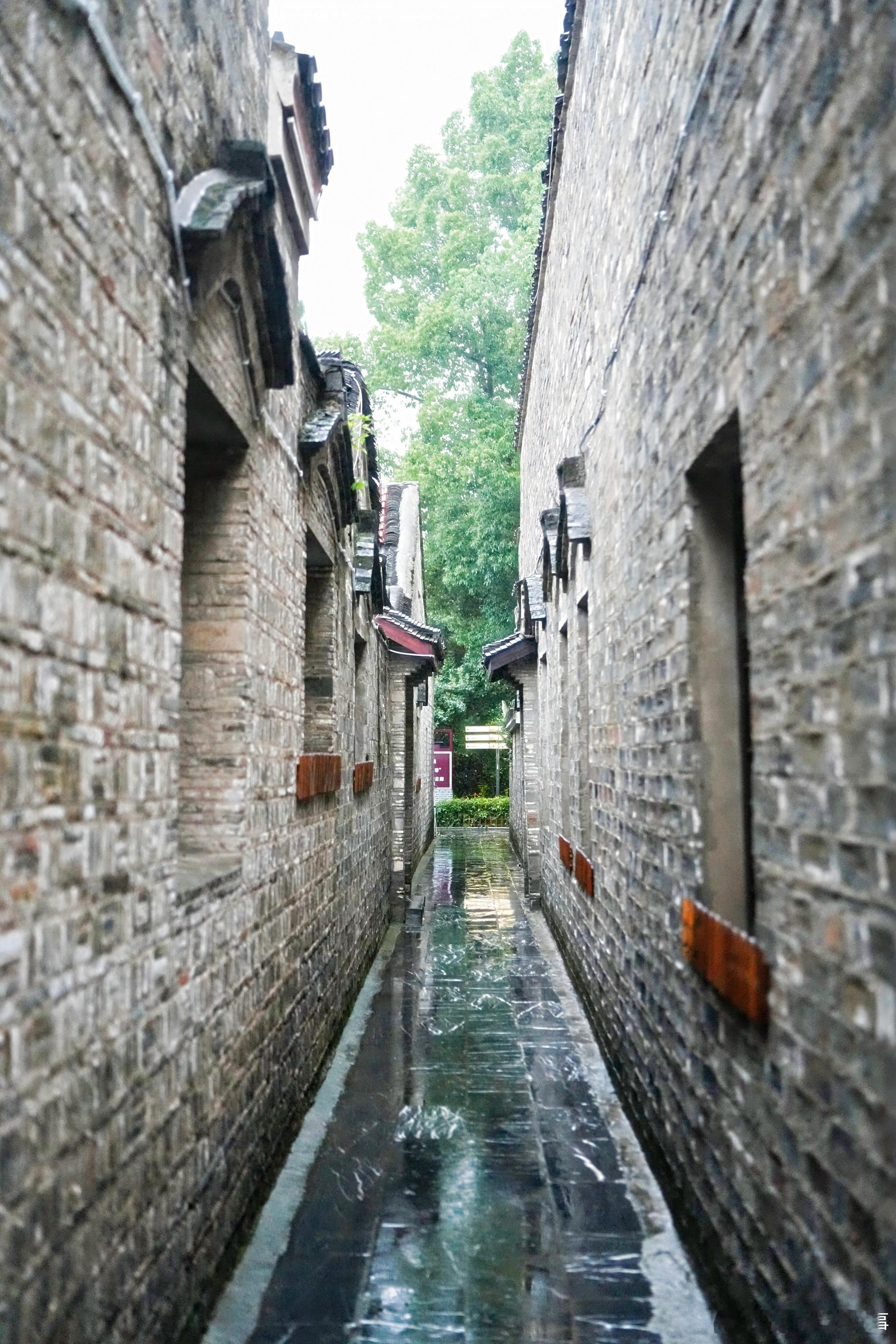肥西端午邂逅夏至氛围感拉满端午游肥西，悠游皆有福，粽香艾草伴夏至清风，三河古镇龙