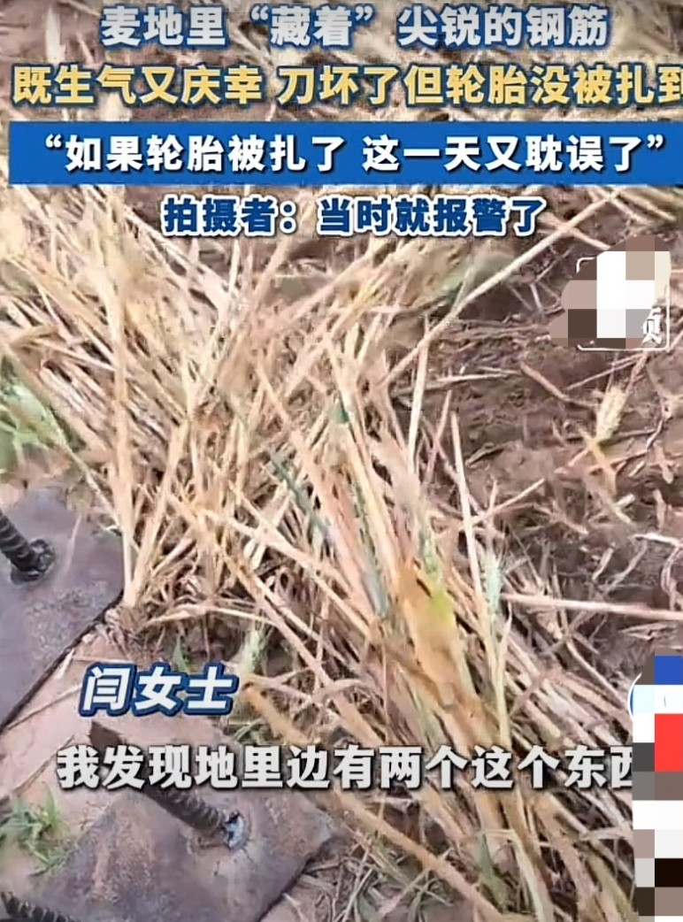 “太坏了！”河北，女子开收割机收麦时，竟然在麦田里发现两个焊着尖锐钢筋的铁板，幸