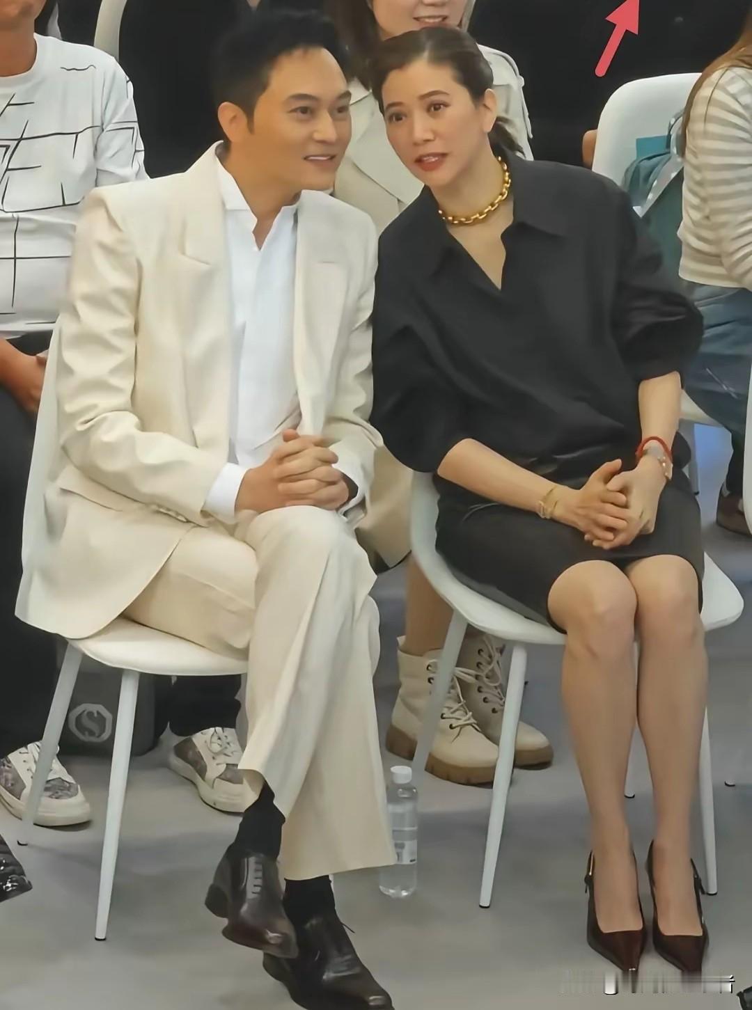 袁咏仪和张智霖竟然同岁，但是看起来袁咏仪好像大姐姐一样，都怪张智霖不显老，太帅气