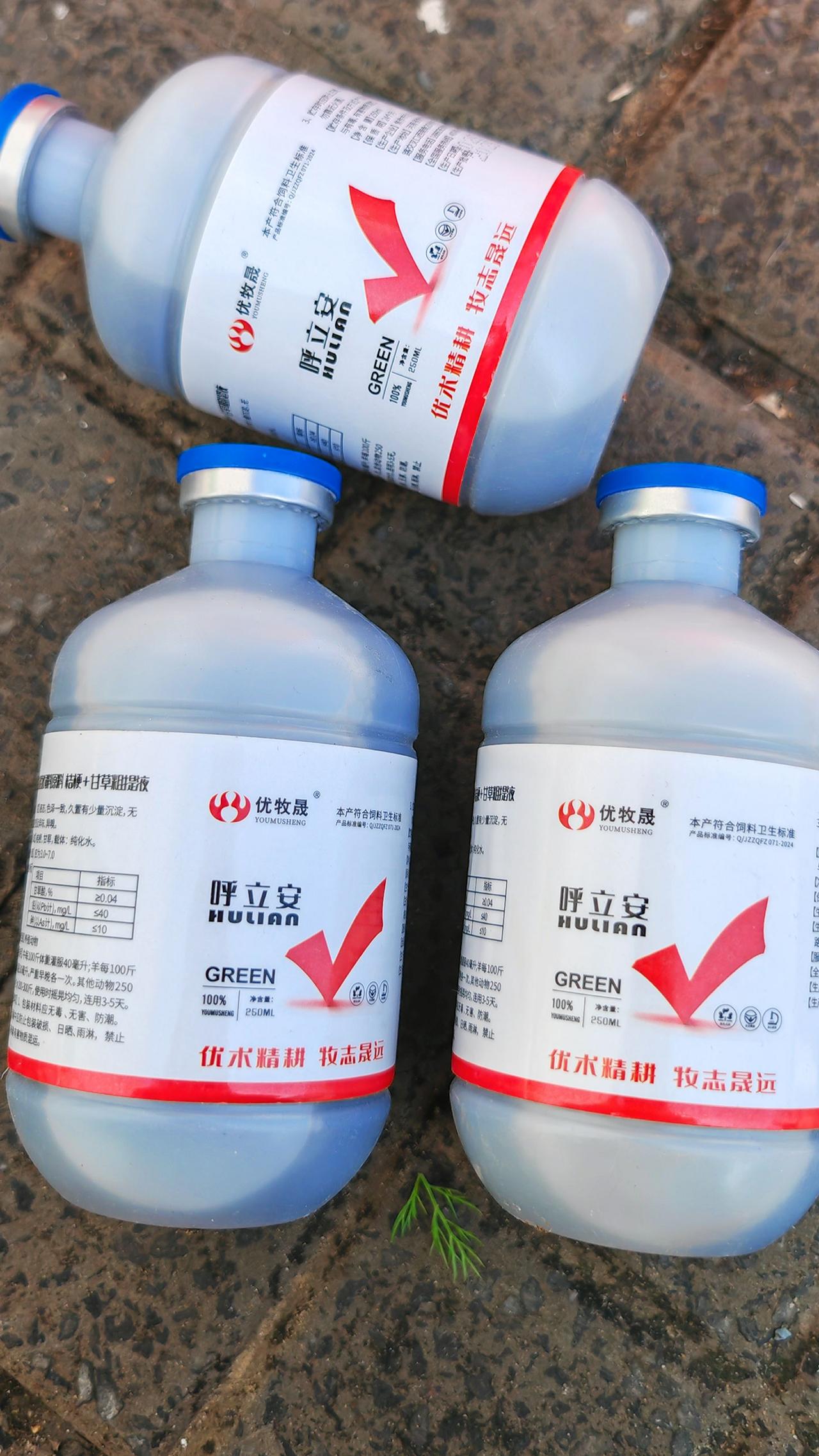 养羊人农村养羊牛羊养殖