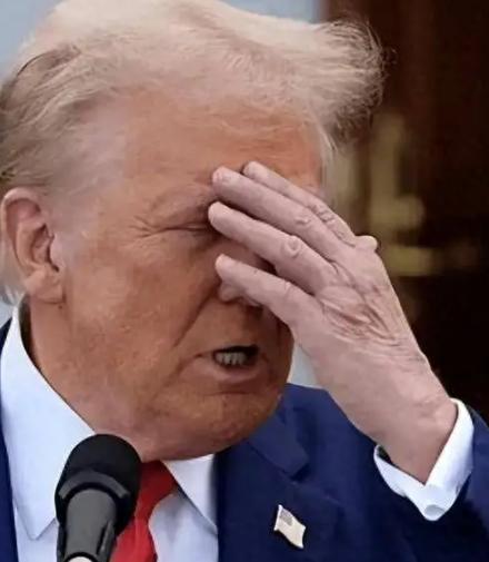 不得不说，巴西总统是真的勇啊。当地时间2026年5月7日，巴西总统卢拉专程前