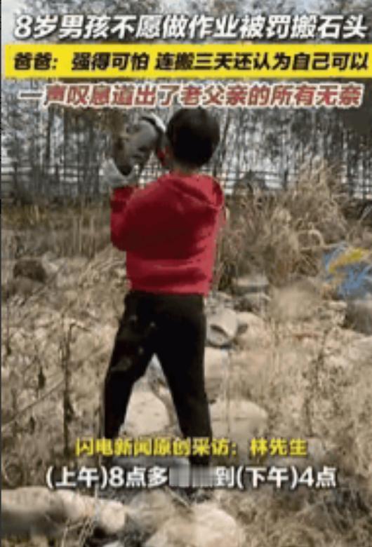 “强得可怕！”杭州8岁男孩不想写作业，被父亲带去乡下搬石头，连搬3天越干越起劲。