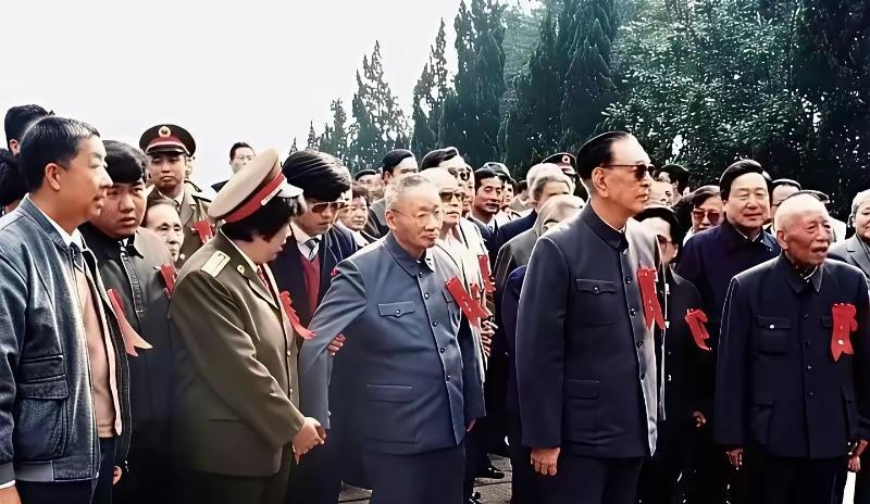 1990年杨开慧烈士牺牲60周年，纪念活动现场，耿飚和毛岸青夫妇特意赶来缅怀。镜