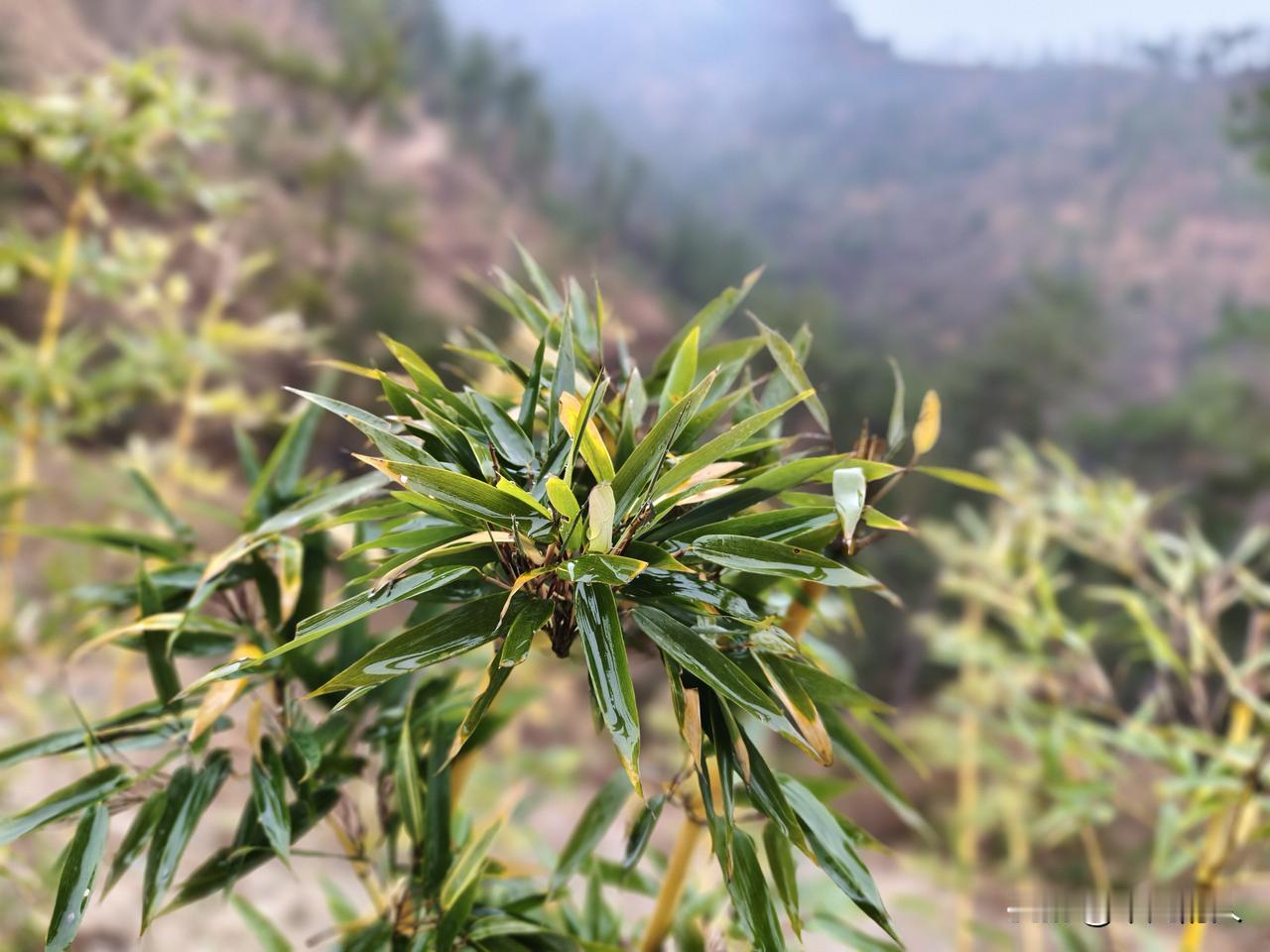 你愿意接受自然的衰老吗?现在“你愿意接受自然的衰老吗”成了热门话题。一边是明星