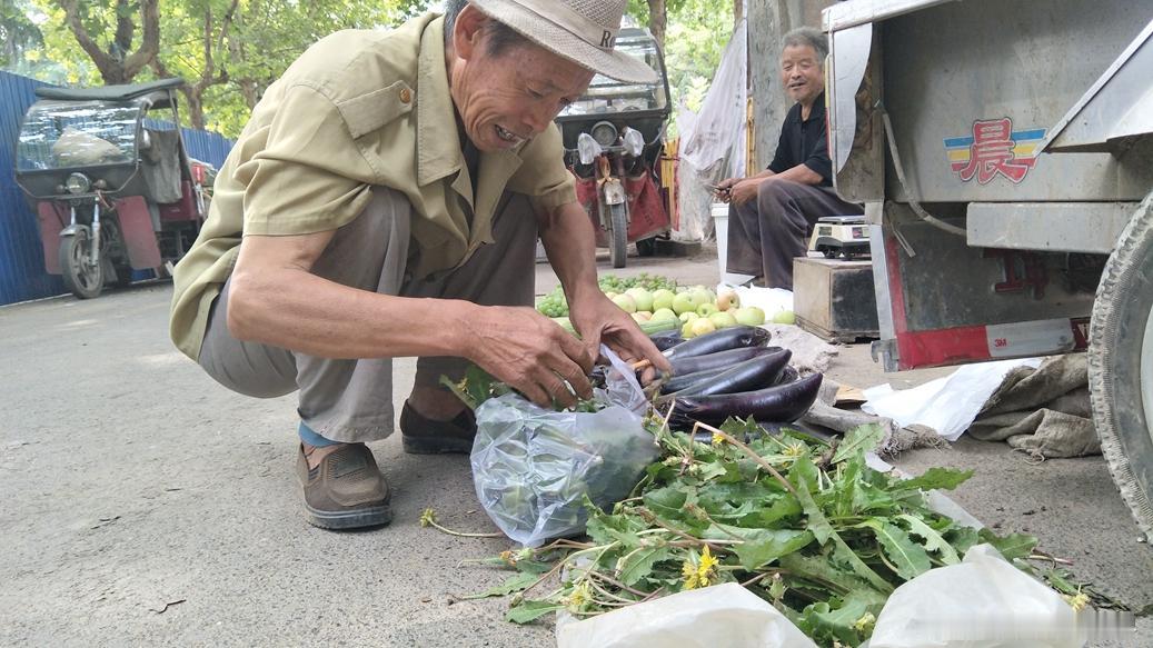菜市场偶遇退休老教授摆摊：读书无用？这才是最狠的“打脸”清晨六点半的菜市场，