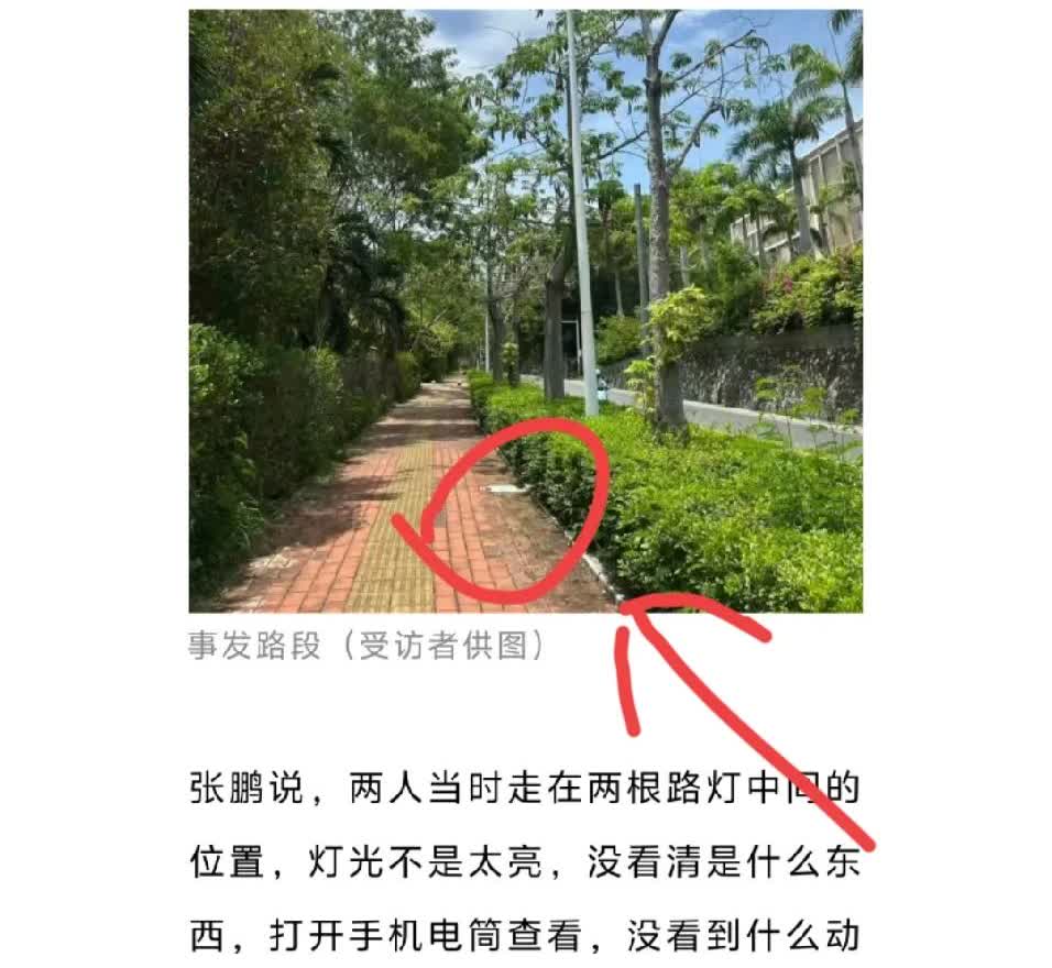 接下去三亚要涨价了，涨的不是机票住宿，也不是蛇血清，而是大公鸡，因为