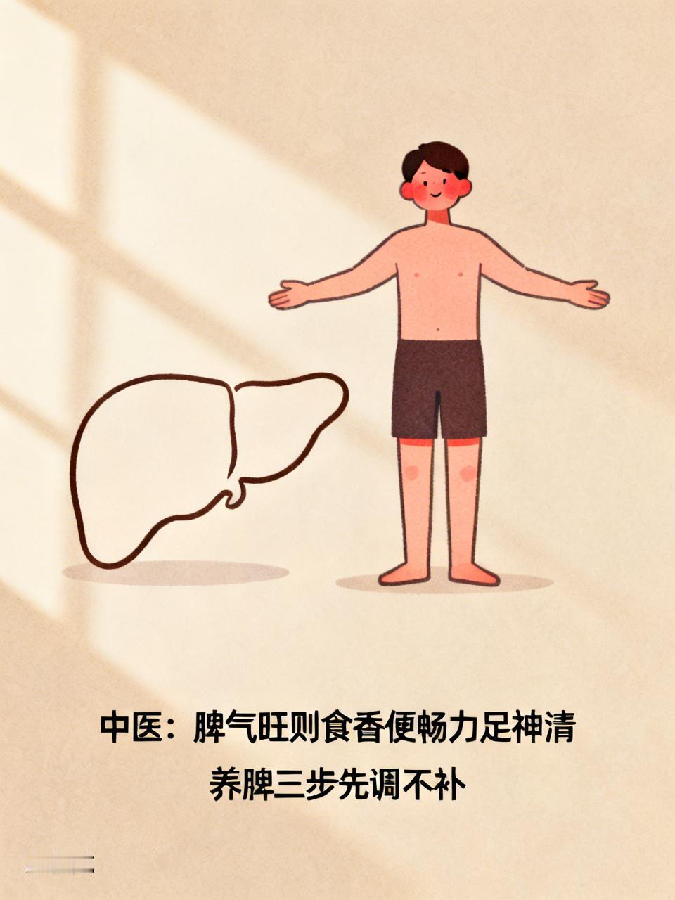 中医：人体脾气旺了以后，就会吃得香、大便好、身上有力、头面清爽！养脾气分三步，第