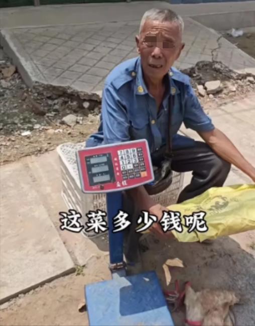 泪目！2024年山东，儿子10多年前车祸去世，儿媳还跟别人跑了！78岁大爷独自抚