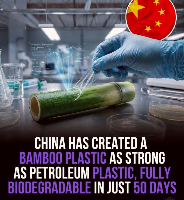 被美国列为入侵物种禁止种植的竹子正在帮中国打造未来！利用竹子研发出的竹基塑料