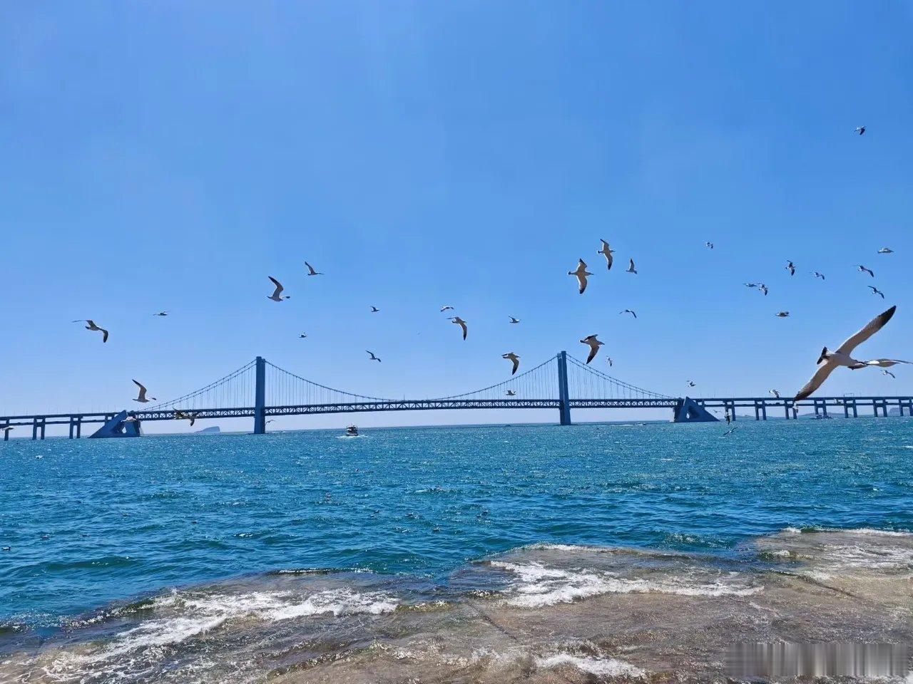 已经连续13个交易日下跌个股超过3000家了，是不是很可怕，眼下还能破局吗？明天