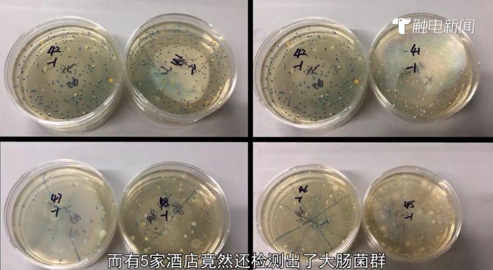 马桶和洗手盆都被检测出大肠菌群; 维也纳智好酒店,杯子的细菌总数