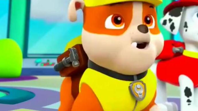 2920594394472013343.jpg?id=0