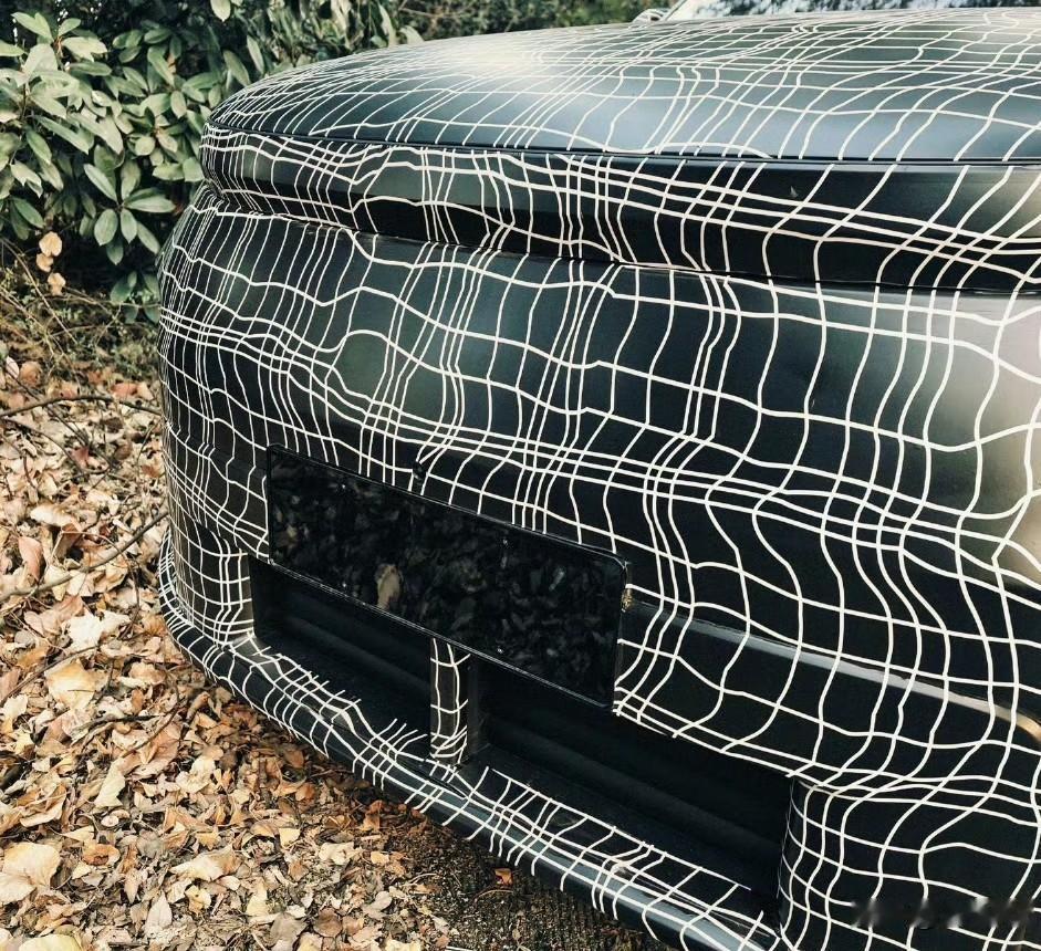 新理想L9照片拍的显得很敦实。大概就是5.4米，三电机，后轮转向，空悬，70