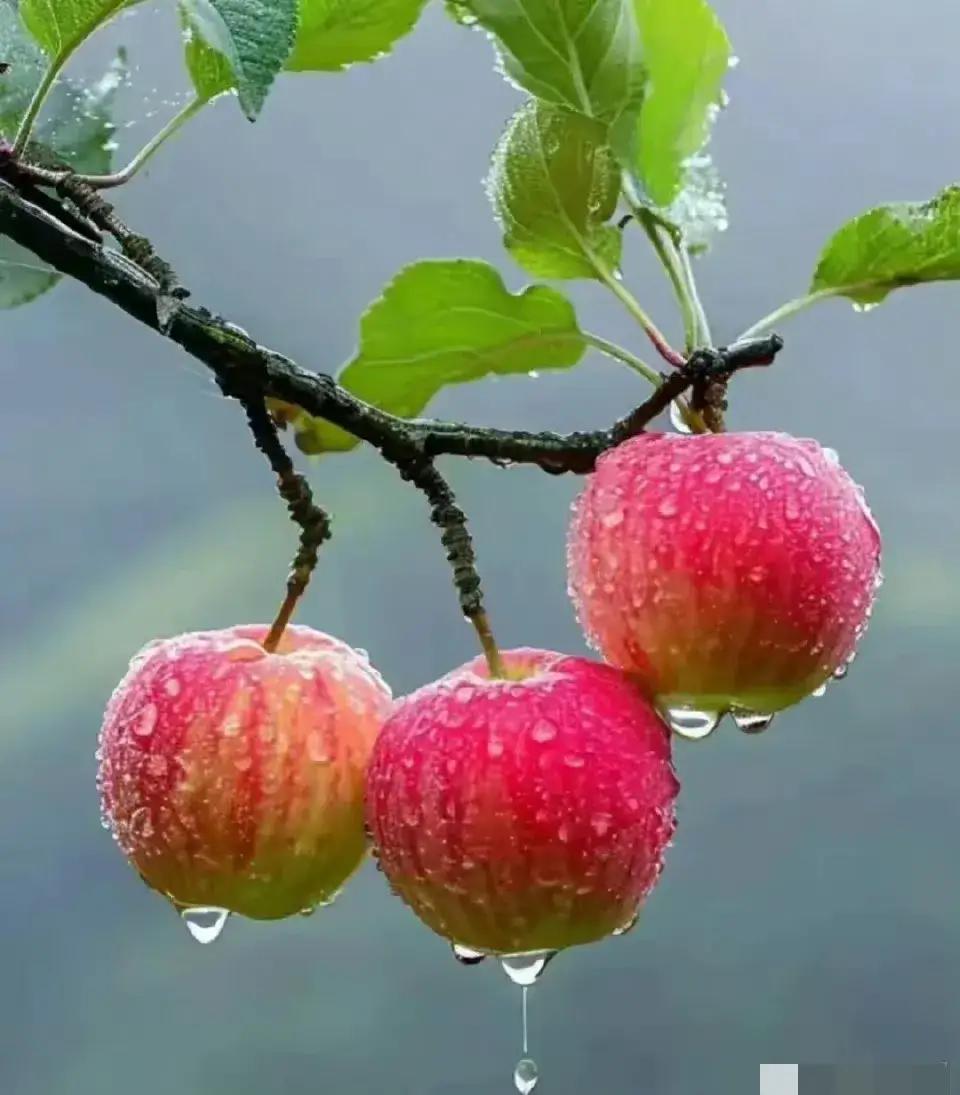 “30岁就开始养老规划，是不是疯了？”——不，是怕60岁还在送外卖！01