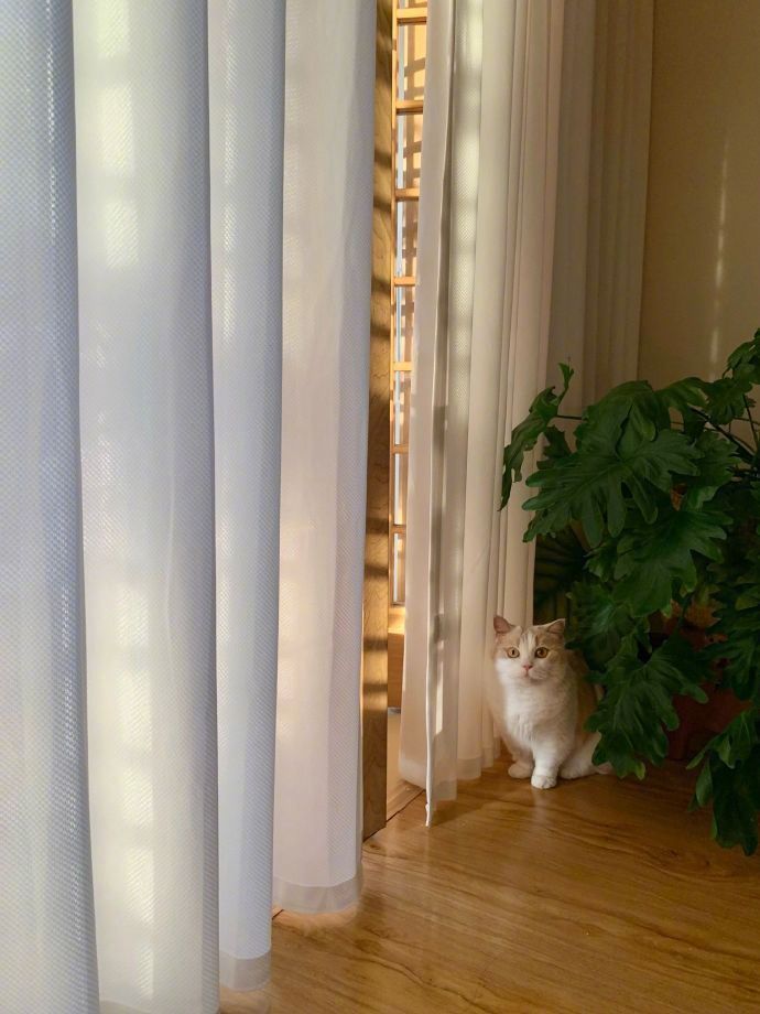 小县城的房子竟然也能这么漂亮！